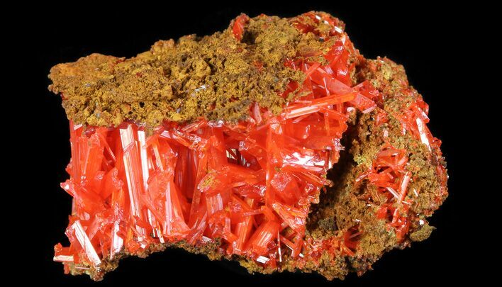 Bright Orange Crocoite Crystals - Tasmania #64352